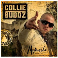 colliebuddz copy